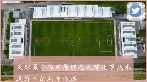 足球最小作用原理在足球比赛战术选择中的科学依据