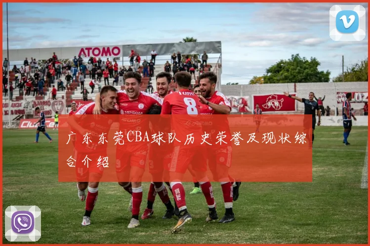 广东东莞CBA球队历史荣誉及现状综合介绍