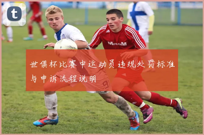 世俱杯比赛中运动员违规处罚标准与申诉流程说明