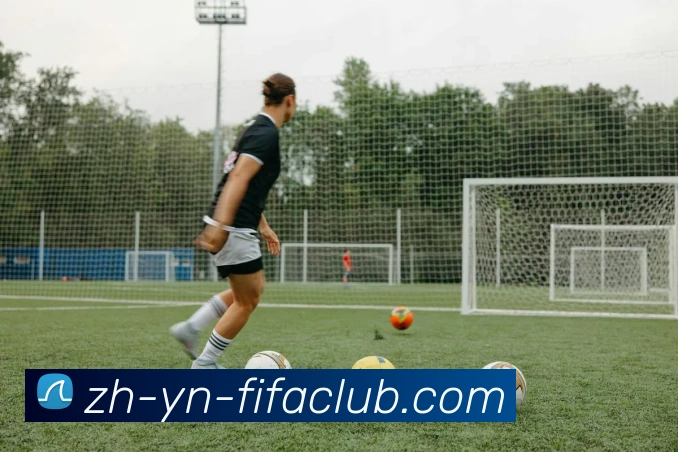 App Interface Preview