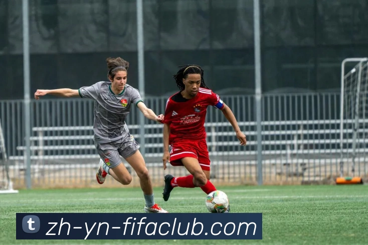 数据防护可视化